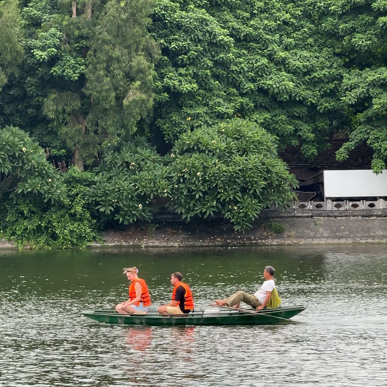 Hoa sen mùa hạ